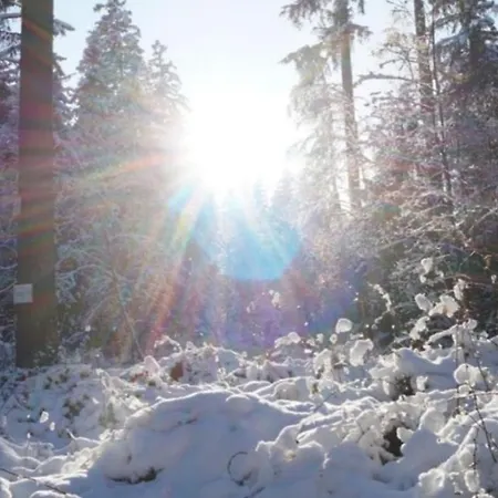 Διαμέρισμα Neu! Fernblick Sauna Hallenbad