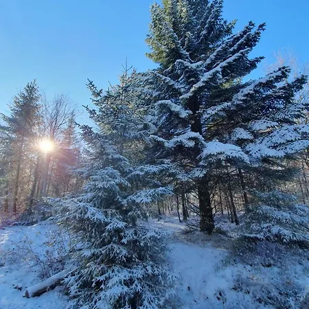 Neu! Fernblick Sauna Hallenbad Διαμέρισμα *
